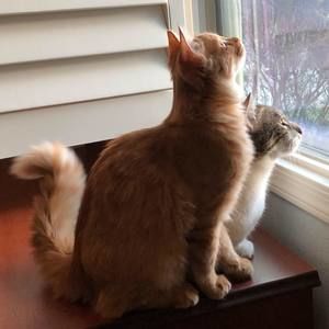 Meet your Posher, Helen